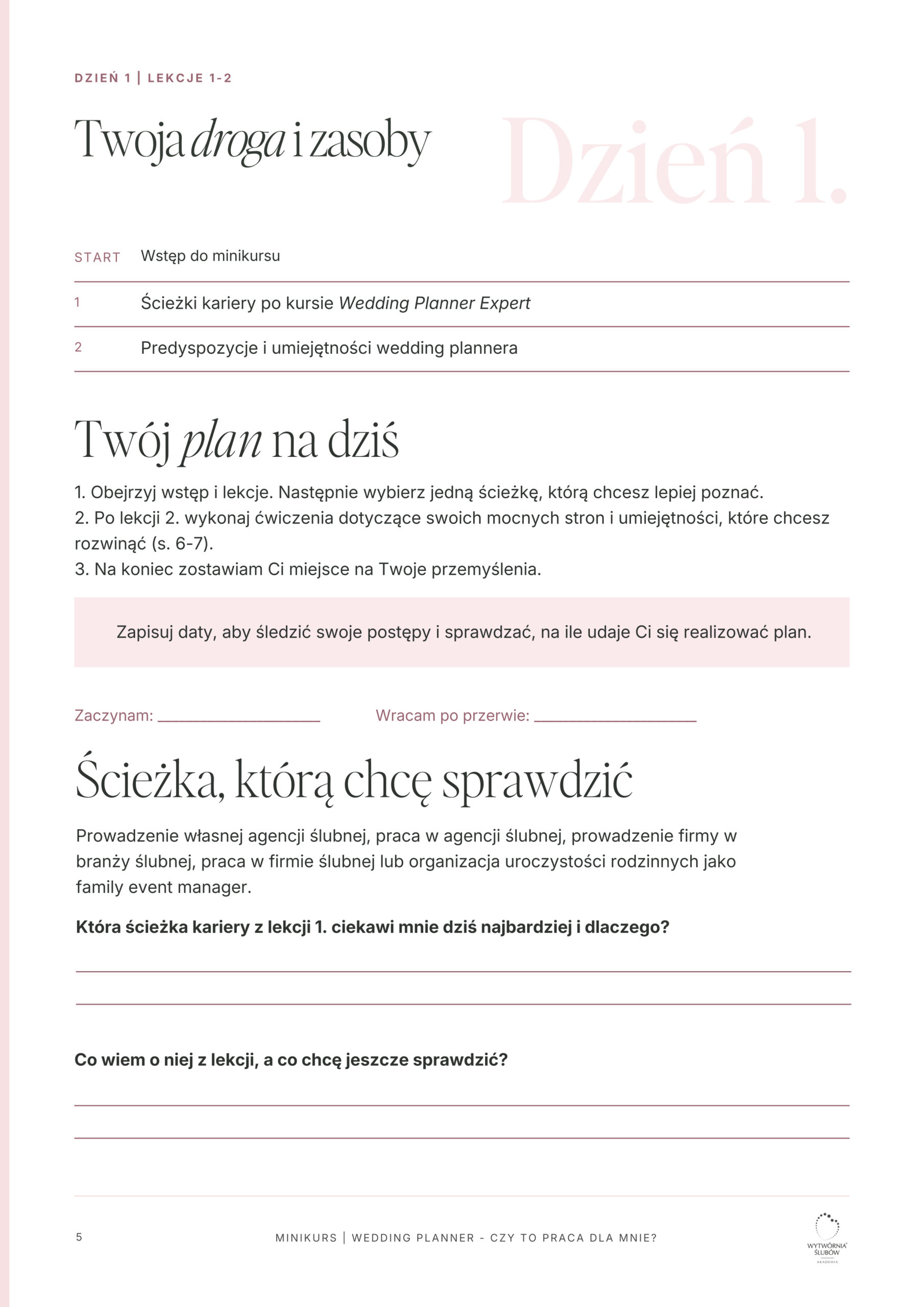 Podgląd workbooka